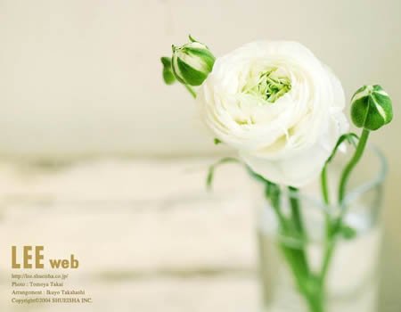 ˸ͼƬȫ_һжȥ ʱ(7)_WWW.AIGEXING.COM