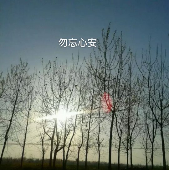 ˸⾳ͼƬ δһģˮգ˼(9)_WWW.AIGEXING.COM