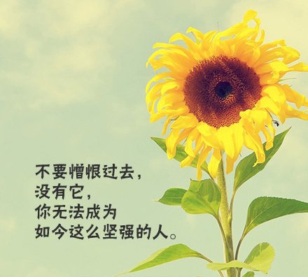 ⾳ռͼ Ҫܷ֮꣬ǲʺ(5)_WWW.AIGEXING.COM