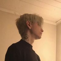 ios微信隐身头像透明(6)