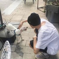 模糊的qq头像男生的(3)