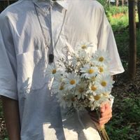 微信头像生肖图片设计大全(5)