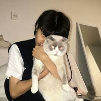 qq男生头像紫色(2)