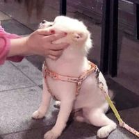 怎样查找微信之前用过的头像(14)
