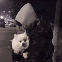 好看温柔头像男生头像(15)