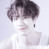 微信男抱猫头像图片大全(20)