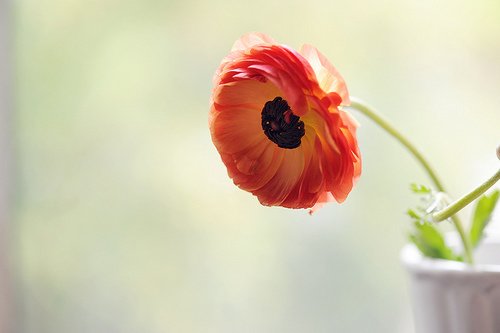 оʵͼƬɰ;Ӱˮգ(11)_WWW.AIGEXING.COM