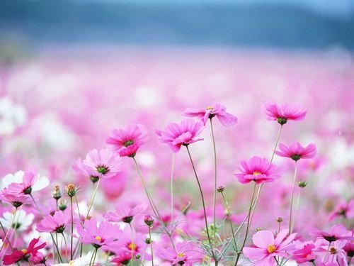 밮йصľĸ˵˵;Ĭͷĸ?(1)_WWW.AIGEXING.COM