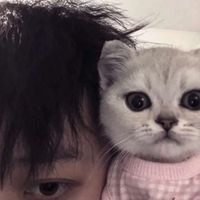 微信寓意招财头像(18)