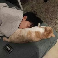 男生阳光下头像(10)