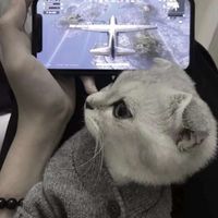 送爱心情侣头像(19)