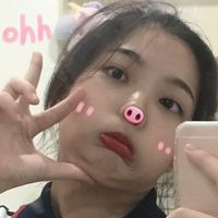 猫萌微信头像图片大全可爱图片(7)