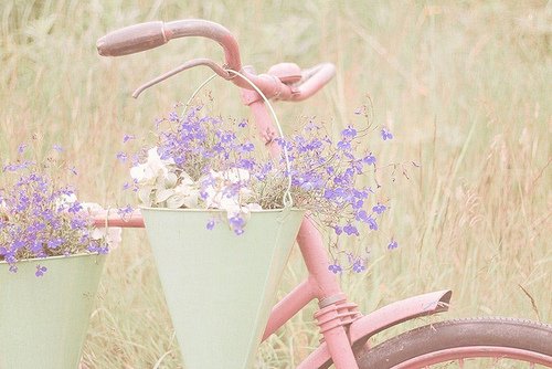 ĵİ¼;һӵĳŵ˵