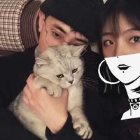 狐兔兔情侣头像高清(9)
