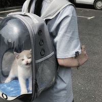 头像女生高高在上(16)