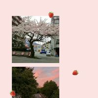 抖音至尊宝紫霞七夕情侣头像大全(17)