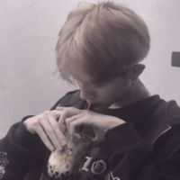 微信被拉黑能看到对方该头像吗(8)