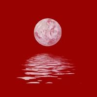 2019姓氏秦微信头像(5)