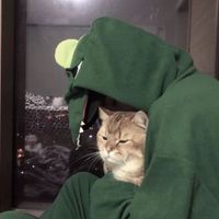 恐怖红眼睛男生头像(15)
