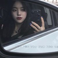 猪的微信头像最火(17)
