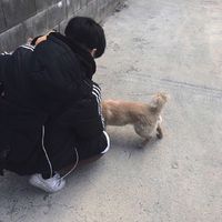 情头像男生手机遮脸(13)