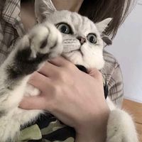 2次元马赛克墨镜情侣头像