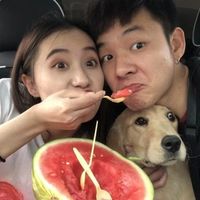 小王子和小公主情侣头像(15)
