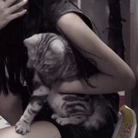 挡脸女生头像贴纸(19)
