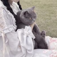 十二生肖情侣星空头像