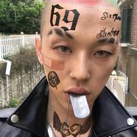 仙鹤 图做微信头像可以吗(16)