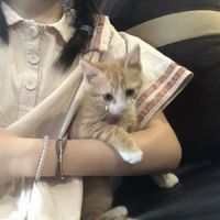 女生头像部位图 仙气(16)