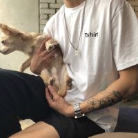 微信头像猫猫(19)