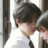 情侣头像是树(17)