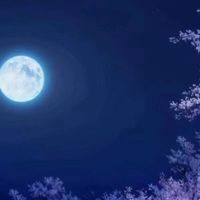 抱心小女生头像(15)