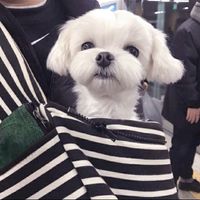 微信头像看人个性签名(18)