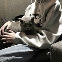 部位头像下半身男生(10)