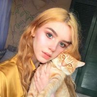 用猫头鹰做微信头像(12)