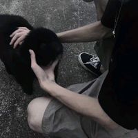 绿色帽子头像男生头像图片大全(15)