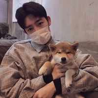 猫的男生头像图片大全大图(19)