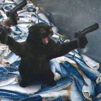不是情侣的情侣头像(9)