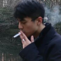 蒲公英图片 头像 微信(6)