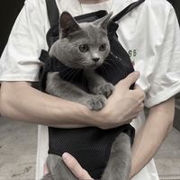 黑白微信头像成熟男人用的