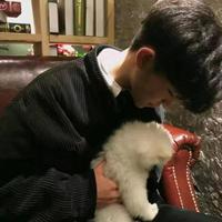 微信搜人头像没有更新(19)