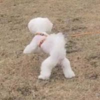 种草莓图片情侣头像图片(17)