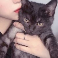 遥远的她 微信头像(7)