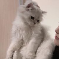 情侣青春拥抱头像