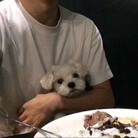 男生高清意境伤感头像(9)