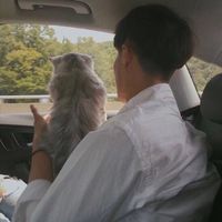 qq头像男生帅气不露头(2)
