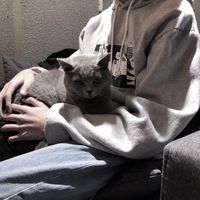 男生头像纹身霸气单人(8)