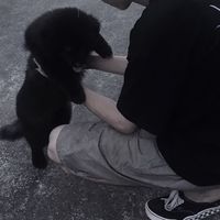 微信头像 男生 高档照片(4)